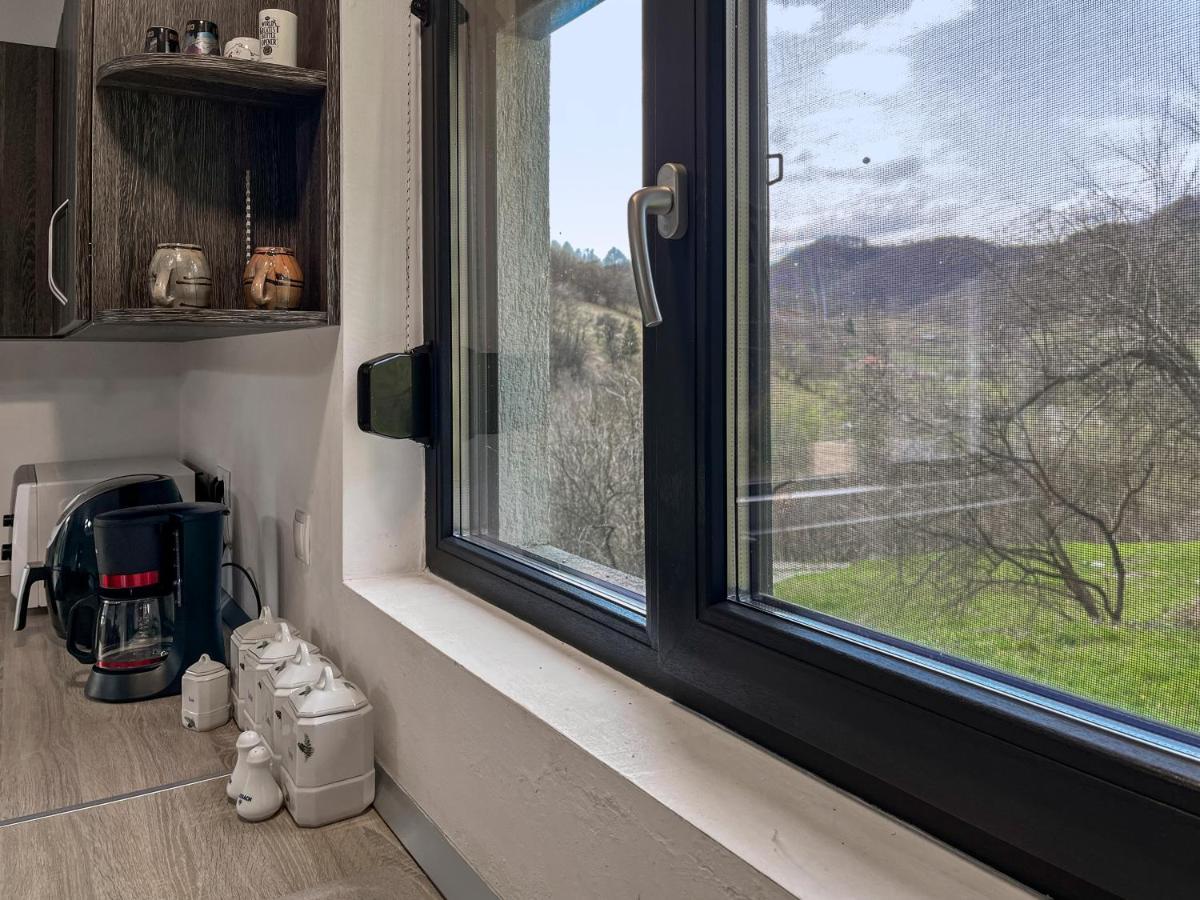 Casa Simon Konuk evi Leordina Dış mekan fotoğraf