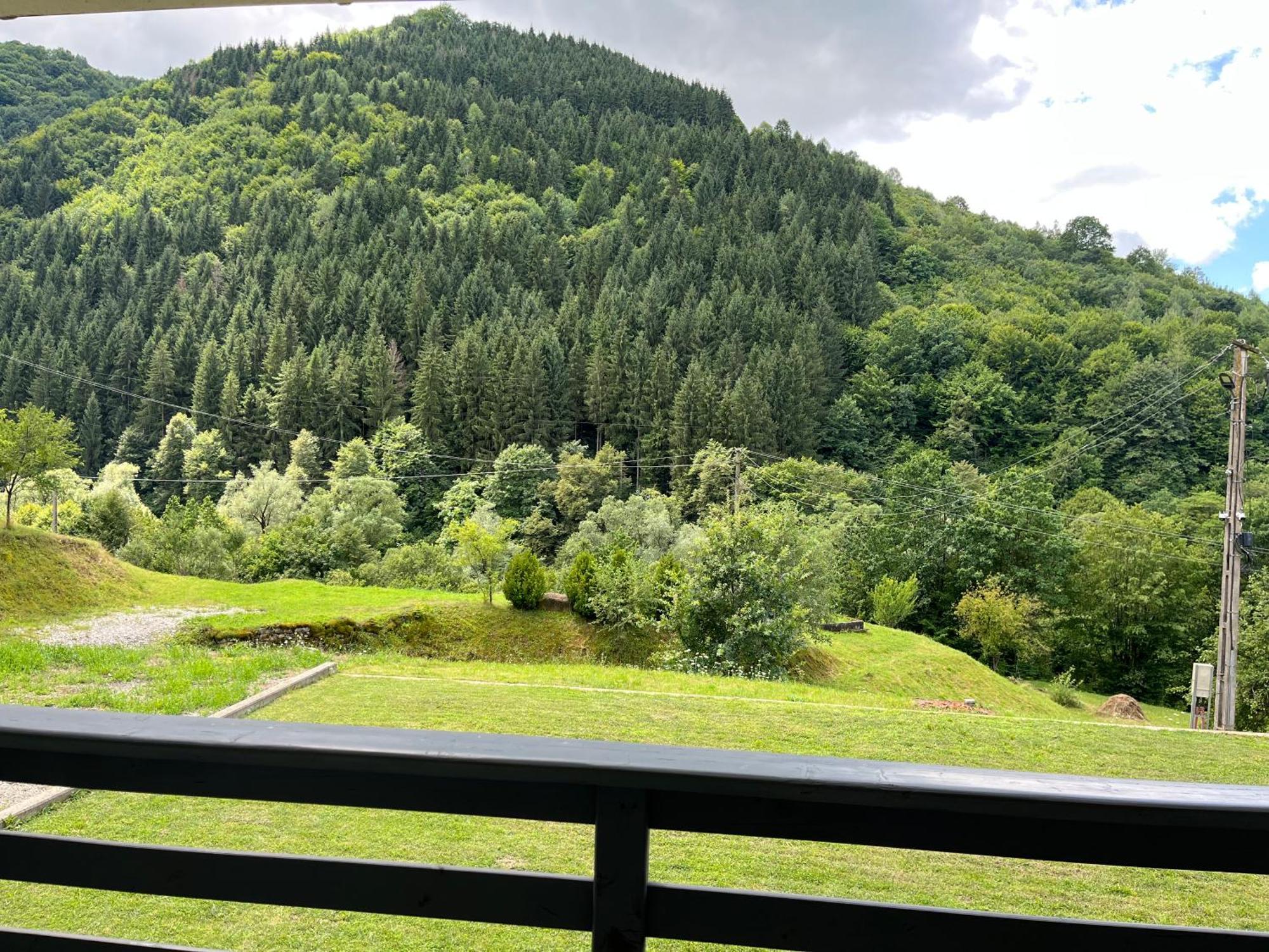 Casa Simon Konuk evi Leordina Dış mekan fotoğraf